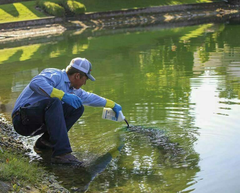 Aquatic Weed & Algae Treatment Programs Southeast MichiganOakland